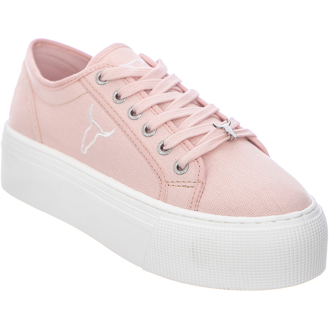 Sneaker Windsorsmith Ruby Rosa